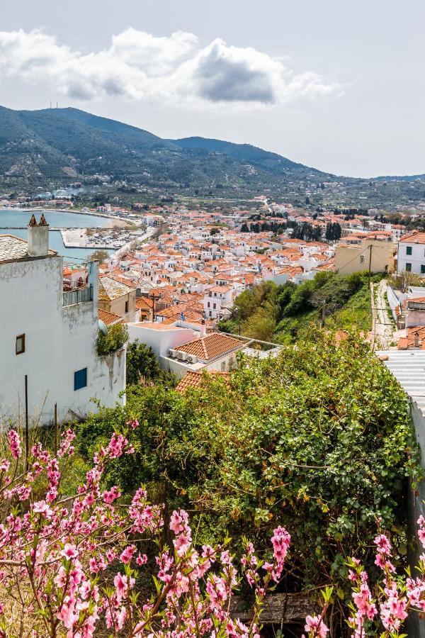 Vasia House Skopelos Exteriér fotografie